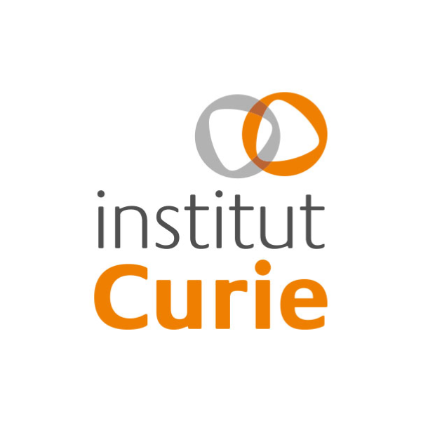 The Center for Cancer Immunotherapy of Institute Curie Logo 