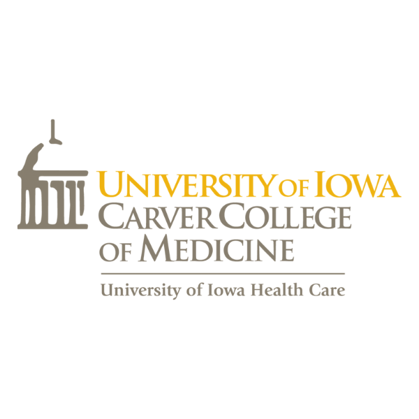 University of Iowa Logo 